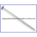 Polished and Galvanized Common Iron Nail